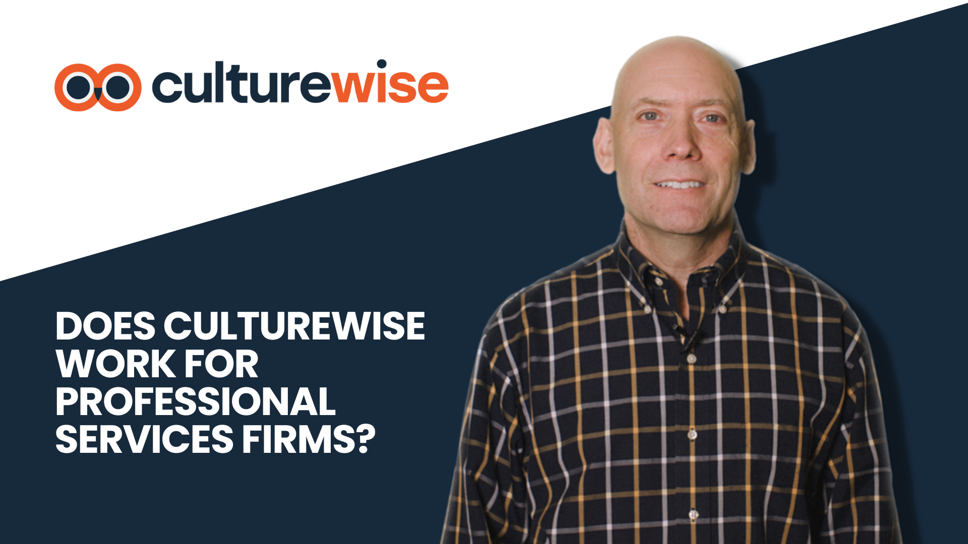 culturewise and professional services firms