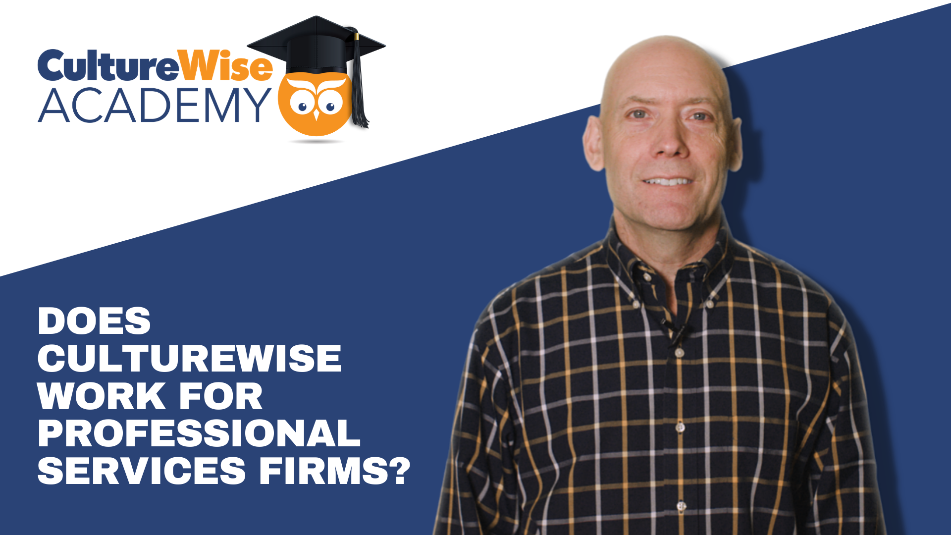 Does CultureWise Work for Professional Services Firms?