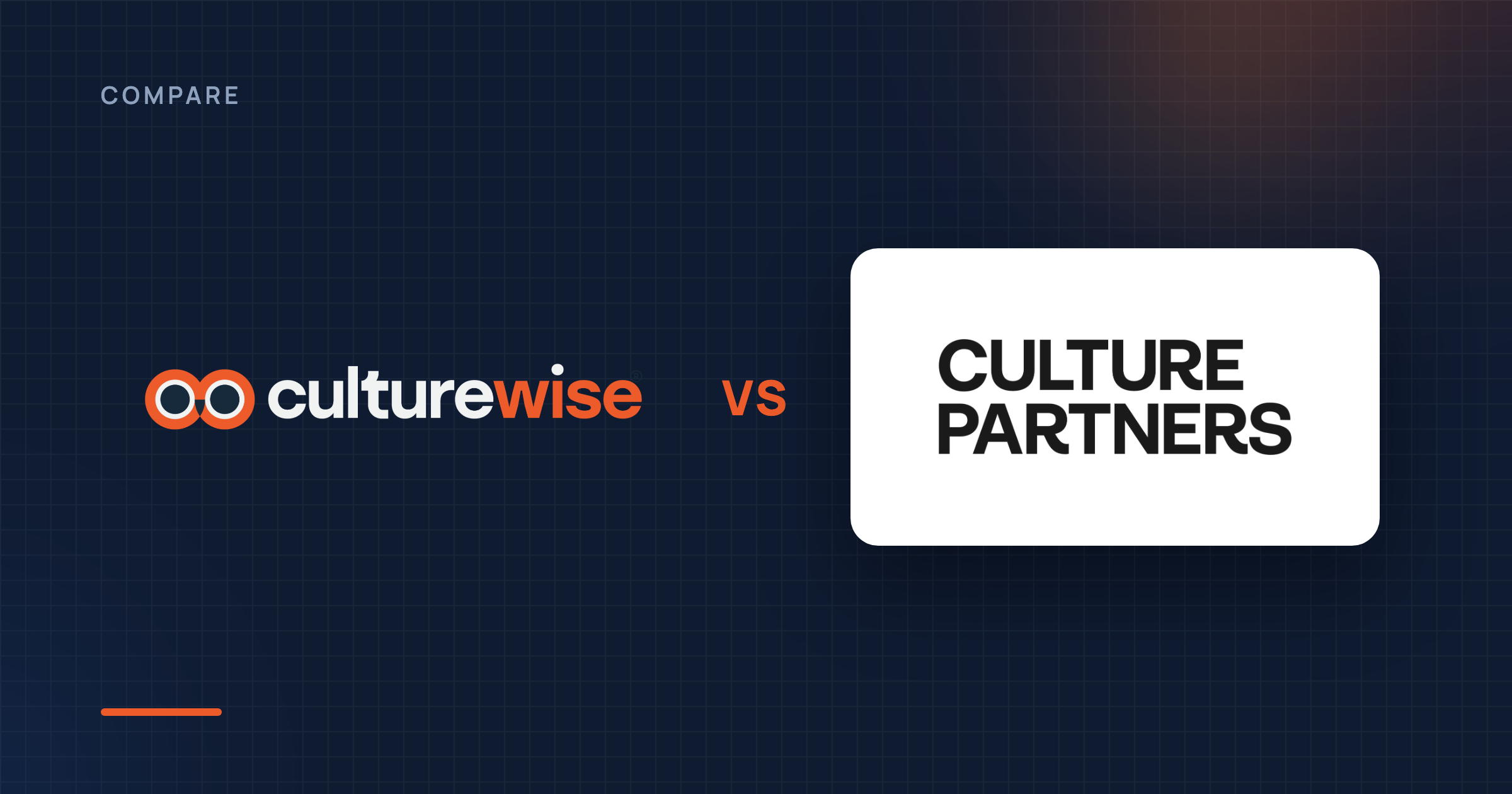 CultureWise vs. Culture Partners: A Consulting Project Ends. Your Culture Shouldn't.