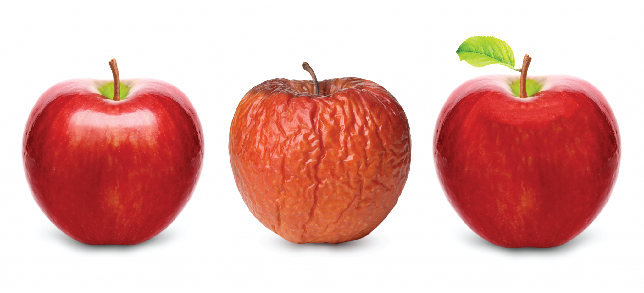 The culture of any organization is shaped by the worst behavior the leader is willing to tolerate.