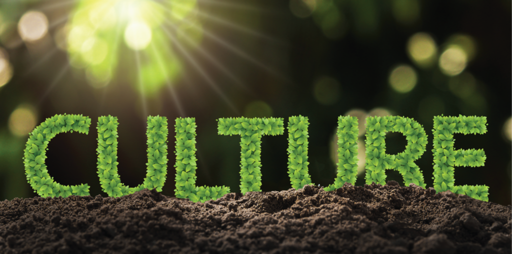 Preparing the Soil to Grow Your Culture