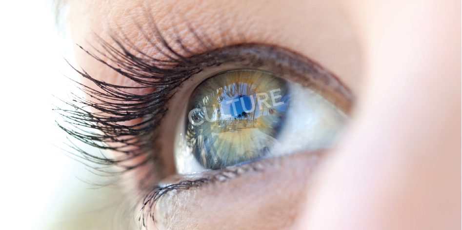 Seeing Culture Through a Behavioral Lens