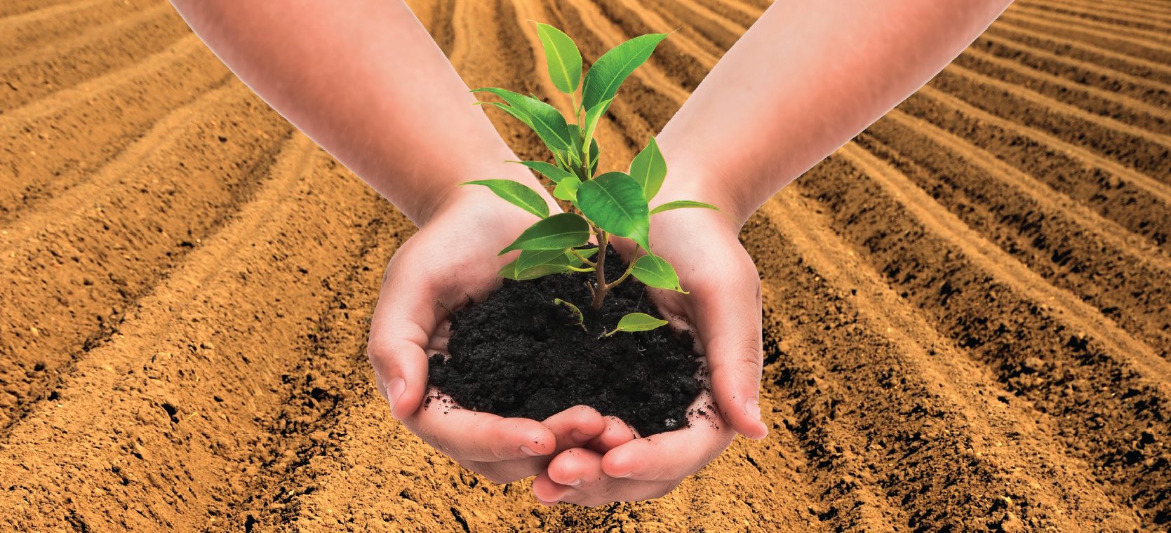 CULTURE: You reap what you sow.