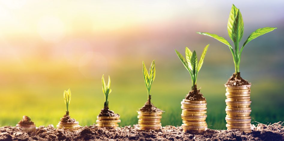 Culture as a Strategic Investment