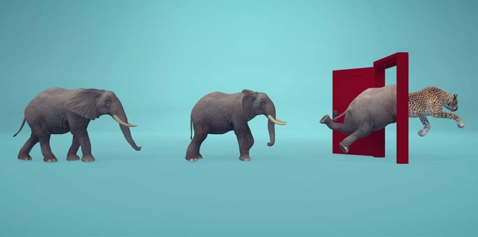 Code of Conduct: Upgrade the Behaviors that Shape Your Company Culture