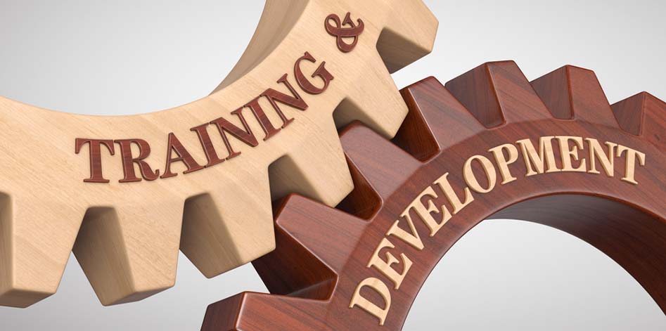 A Learning-Based Company Culture: Your Strategic Asset